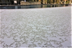 spray-texture-finish-kansas-city