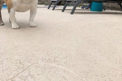 pool deck options kansas city