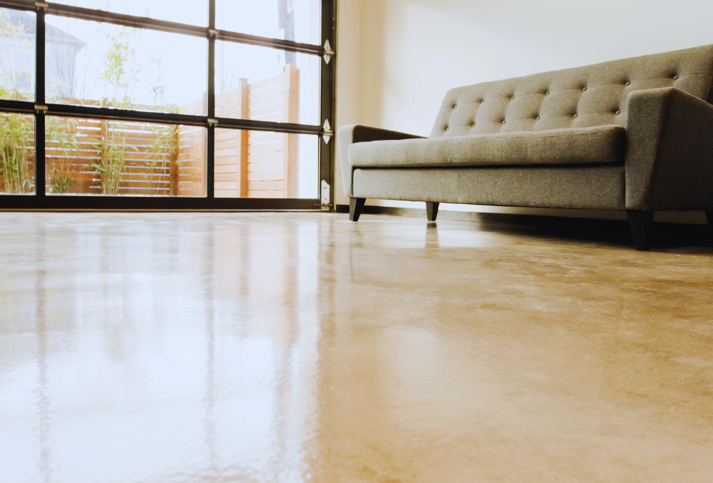 polished indoor living room